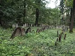 Dub,_židovský_hřbitov.JPG