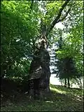Dub na zahradě MŠ v Nových hradech.