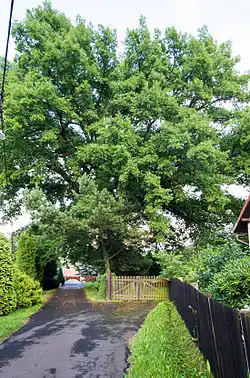 v červenci 2014