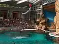 Delfinárium v Zoo Duisburg