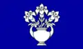 Dundee – vlajka