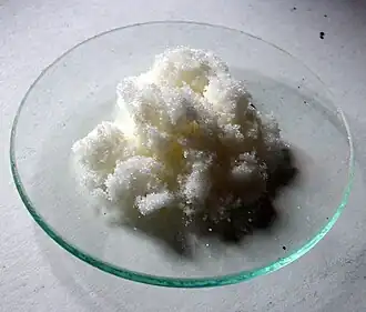 Prášková forma