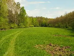Pohled na lokalitu