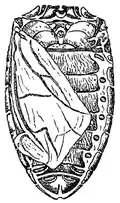 Průduchy pod krovkami