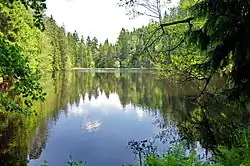 v červnu 2015