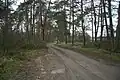 Východní pohled do ZK Libuše