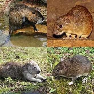 alternativní popis obrázku chybí
