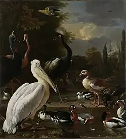 Pelikán a další ptáci u rybníčku, vodní ptáci a kasuár v menažerii Viléma Oranžského v nizozemském Het Loo, 1680, Rijksmuseum