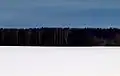 Zdroj estonské vlajky (sníh, les a obloha)