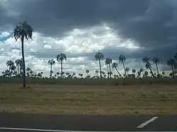 Krajina v národním parku El Palmar
