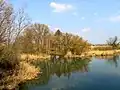 Slepé rameno Labe