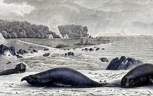 Rypouši na pláži, na pozadí stany a lovci s třímající kopí (Charles-Alexandre Lesueur, 1807)