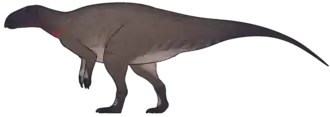 alternativní popis obrázku chybí