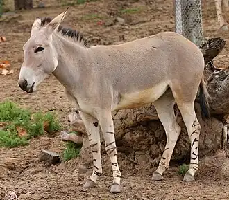 alternativní popis obrázku chybí