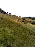 Zagare