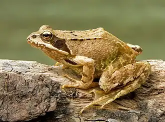 alternativní popis obrázku chybí