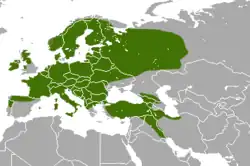 Rozšíření kuny lesní (zeleně)