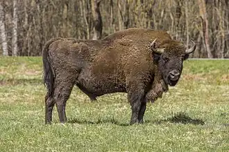 alternativní popis obrázku chybí