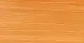 Dřevo S. oblonga
