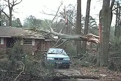 Ukázka škod tornáda kategorie F0