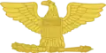 Plukovník – Colonel – US. Army