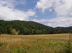 Fabova hoľa