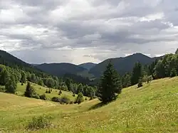 Sedlo Burda
