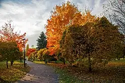 Srodula Park