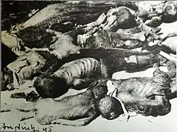 Mrtví v Hanojských ulicích v září 1945