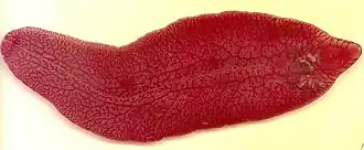 alternativní popis obrázku chybí