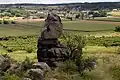 Přírodní rezervace Fehhaube-Kogelsteine