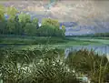 Ferdinand Engelmüller Na mrtvém rameni Labe (1907)