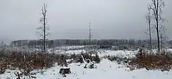 Oderské vrchy, Nízký Jeseník