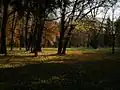 Městský park
