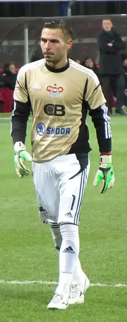 Filip Rada (2013)