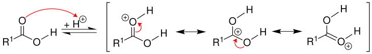 1. krok mechanismu esterifikace