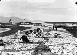 Fiskvinnsla, asi 1910