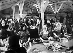 Ženy zpracovávající ryby a nakládají je do soli, 1910–1920