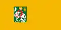 Óbudavár – vlajka
