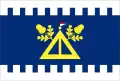 Vlajka obce Šarovy
