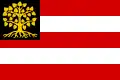 's-Hertogenbosch – vlajka