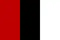 Vlajka Emirátu Afghánistán (1929)