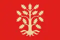 Agder – vlajka