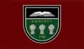 Amherst – vlajka