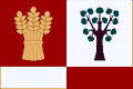Vlajka obce Bařice-Velké Těšany