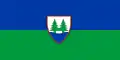 Balatonfenyves – vlajka