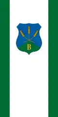 Ballószög – vlajka