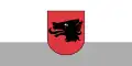 Balvi – vlajka