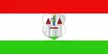 Barysaŭ – vlajka