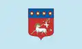 Besenyszög – vlajka